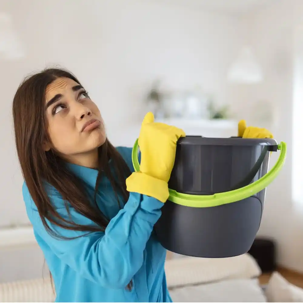 water damage restoration service Alanson